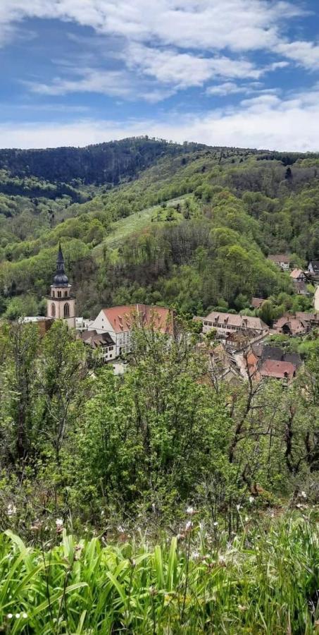 Gite A Andlau Exterior photo